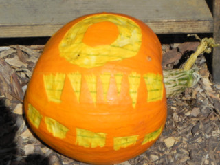 One Eye number Three, Nipomo Pumpkin Patch best carving idea